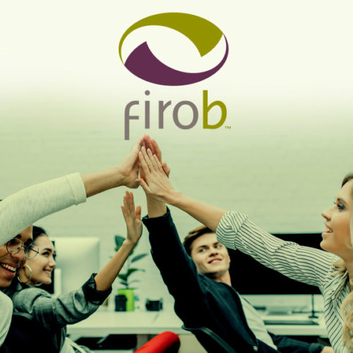 Assessment em Relacionamentos Interpessoais – Firo-B™