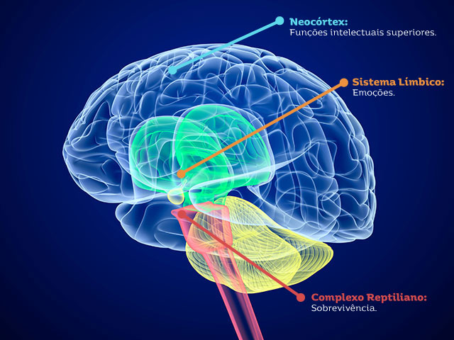https://static1.bigstockphoto.com/9/4/1/large2/149933906.jpg